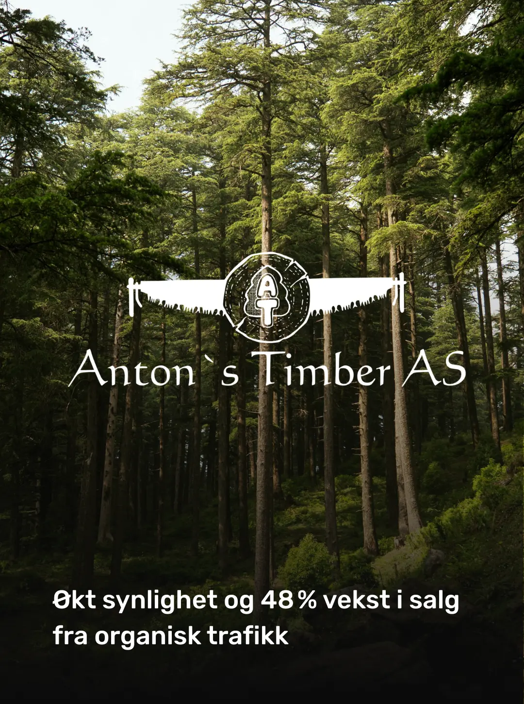 Antons Timber: originalt kundemateriell om økt synlighet og 48 prosent vekst i salg fra organisk trafikk.